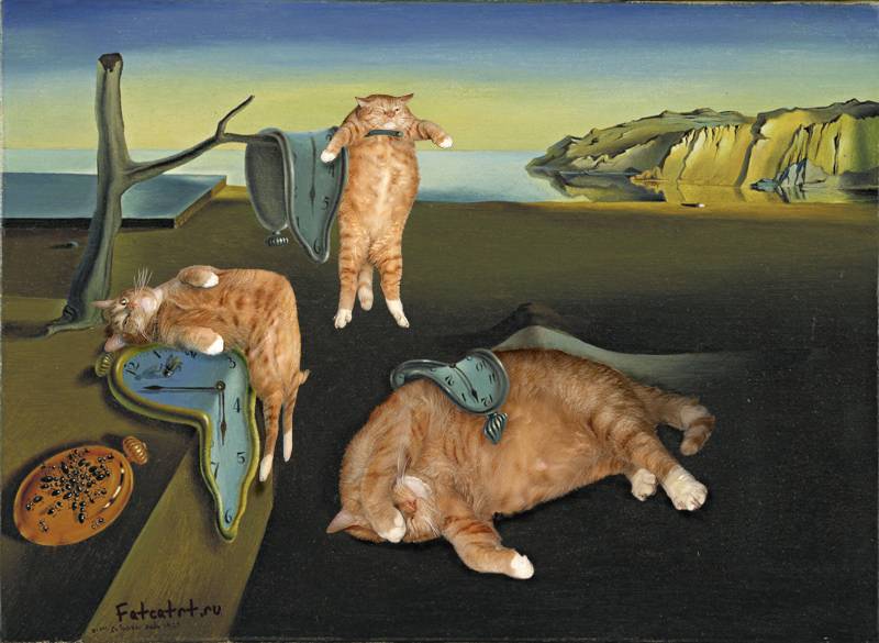 http://fatcatart.ru/wp-content/gallery/art-of-xx-century/dali-the-persistence-of-memory-cat.jpg