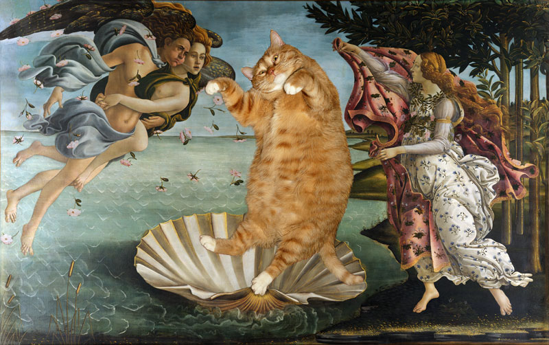 http://fatcatart.ru/wp-content/gallery/italian-renaissance/botticelli-the-birth-of-venus-cat-sm.jpg