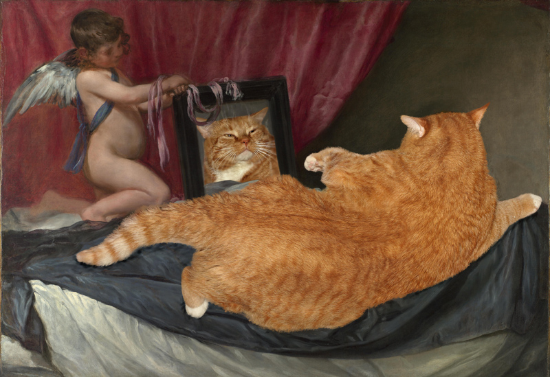 ***котэ*** Velazquez_Venus_cat_w