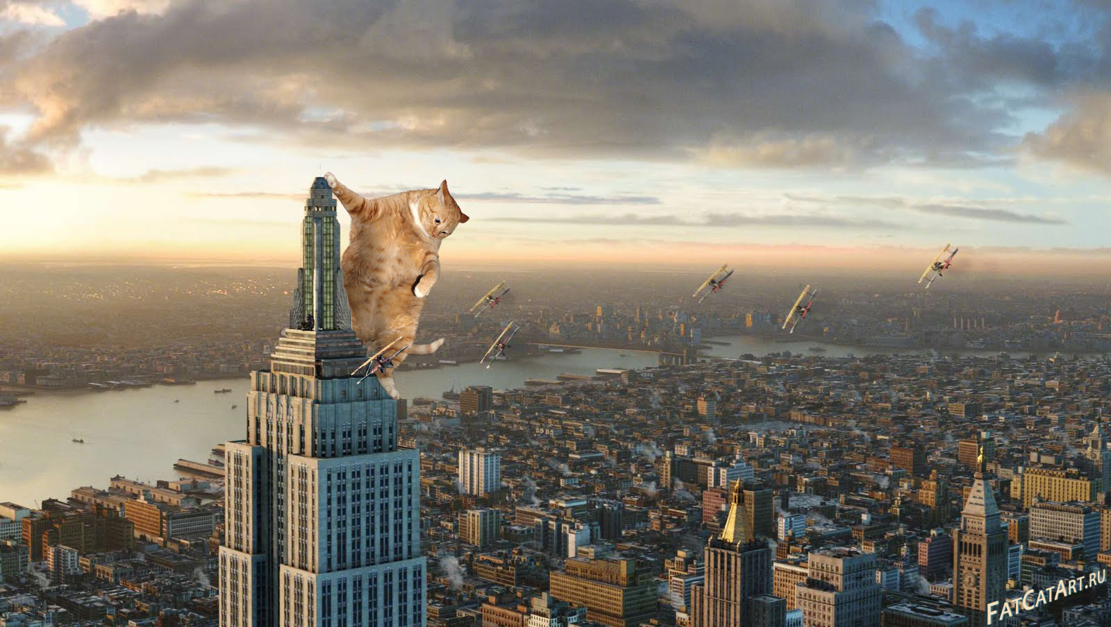 http://fatcatart.ru/wp-content/uploads/2014/03/King-Kong-2005-cat-w.jpg