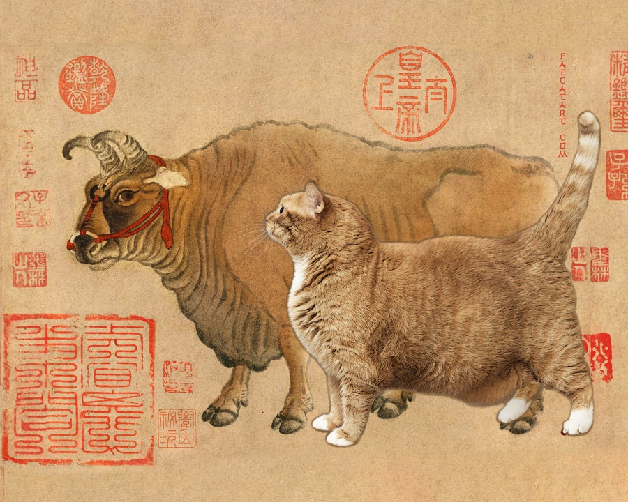 Котики в китае видео. Китайский кот. Китайские котята. Кошки в Китае. Хань Хуан пять Быков.