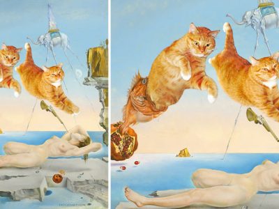 Salvador Dali, Dream caused by the Flight of a Bee around a Pomegranate a Second before Waking up, safer version, no tigers involved 😹Salvador Dali, Dream caused by the Flight of a Bee around a Pomegranate a Second before Waking up, safer version