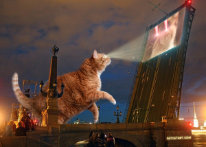 Projector Cat vs Laser Cat